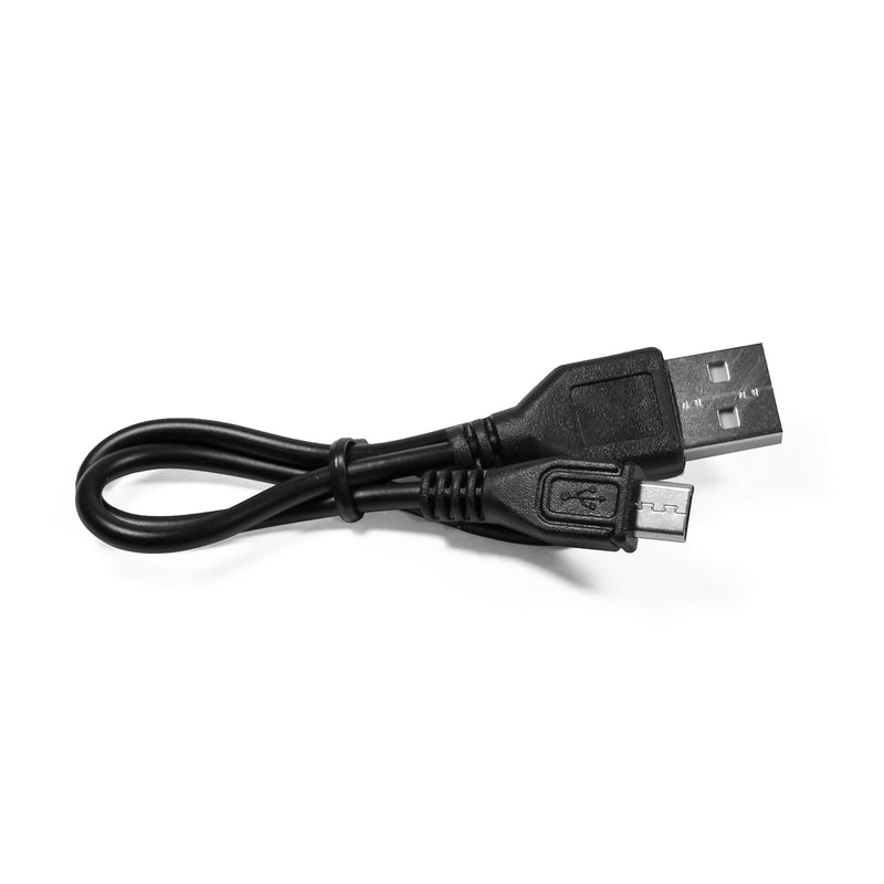 PoundWishes PW750-RD LED Dog Leash Red - BeesActive Australia
