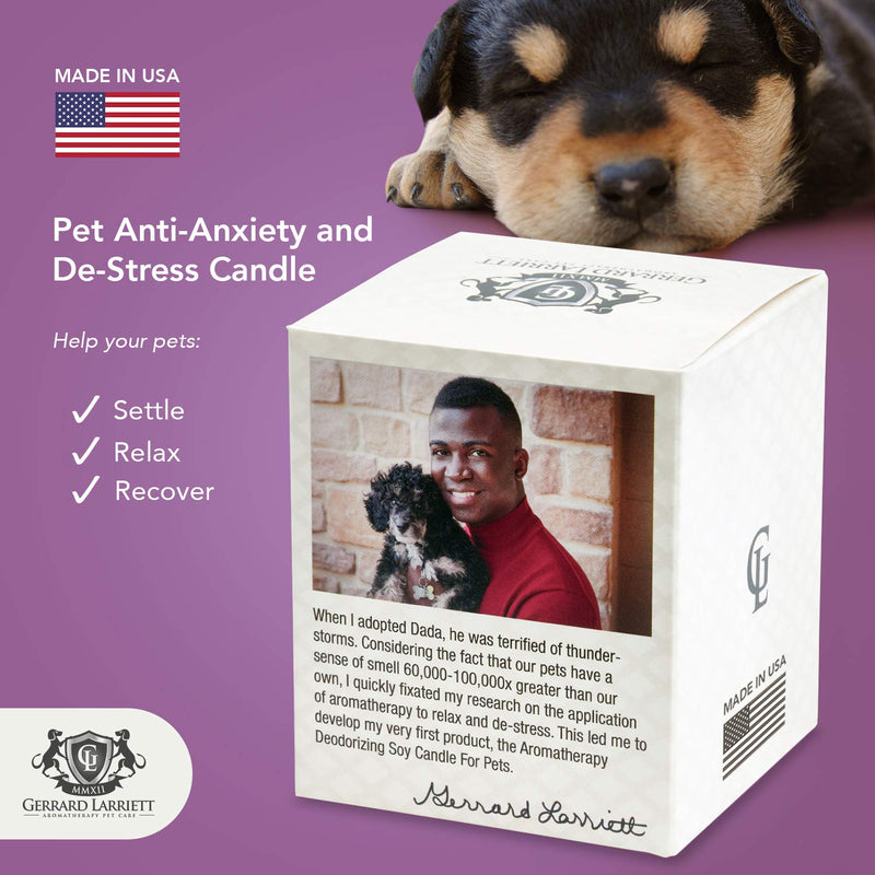 Lavender & Chamomile Aromatherapy Deodorizing Soy Candle for Pets, Pet Odor Eliminator & Animal Lover Gift - 6 OZ (170 g) Lavender & Chamomile - BeesActive Australia