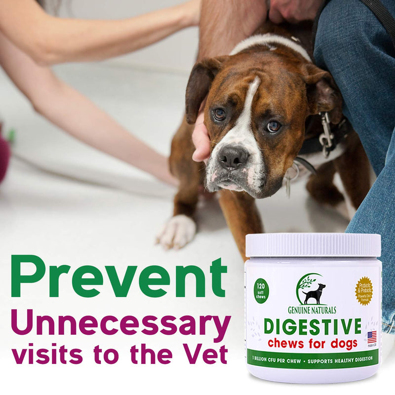 Digestive Supplement for Dogs Best Probiotic for Dogs That Helps with Diarrhea Upset Stomach Bad Breath and Constipation by Genuine Naturals120-Count - BeesActive Australia