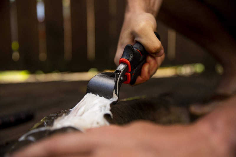 Ugly Stik Tools Fish Skinner Tool, Black (USTOOLFS) - BeesActive Australia
