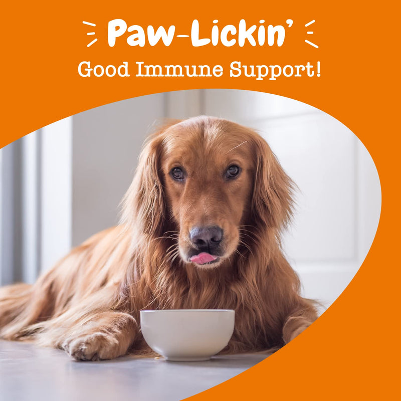 Zesty Paws Allergy & Immune Flavor Infusions for Dogs - with Omega 3 Salmon Oil for Sensitive Skin, EpiCor, Colostrum & Quercetin - Supports Seasonal Allergies Chicken 16 Fl Oz (Pack of 1) - BeesActive Australia