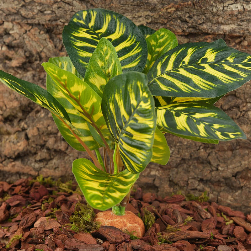 WOLEDOE Reptile Terrarium Decor Plants, Bearded Dragon Tank Accessories fit Crested Gecko Leopard Lizard Chameleon Ball Python Snake Frog - Yellow Fake Prayer Peacock Plants - BeesActive Australia