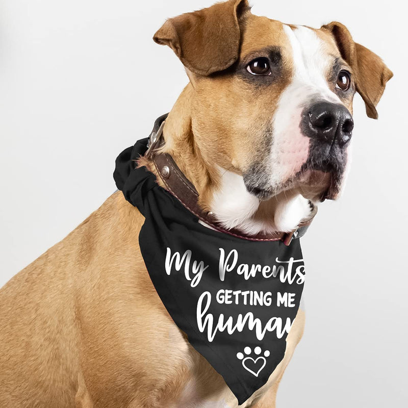 My Parents are Getting me a Human, Pregnancy Announcement Dog Bandana, Gender Reveal Photo Prop Pet Scarf Accessories,Pet Accessories for Dog Lovers, Pack of 2 - BeesActive Australia