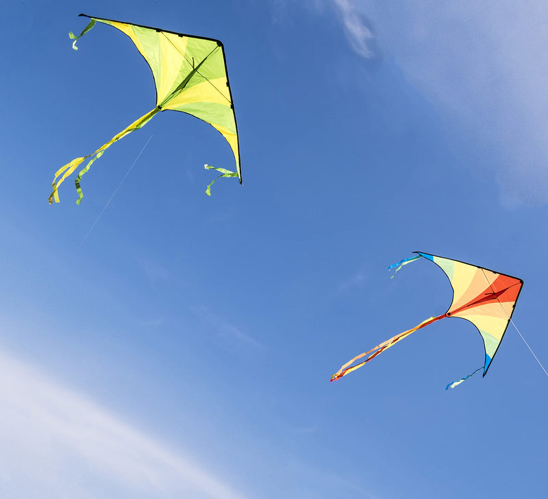 JOYIN 2 Packs Large Delta Kite Green and Rainbow Kite Easy to Fly Huge Kites for Kids and Adults with 262.5 ft Kite String, Large Delta Beach Kite for Outdoor Games and Activities - BeesActive Australia