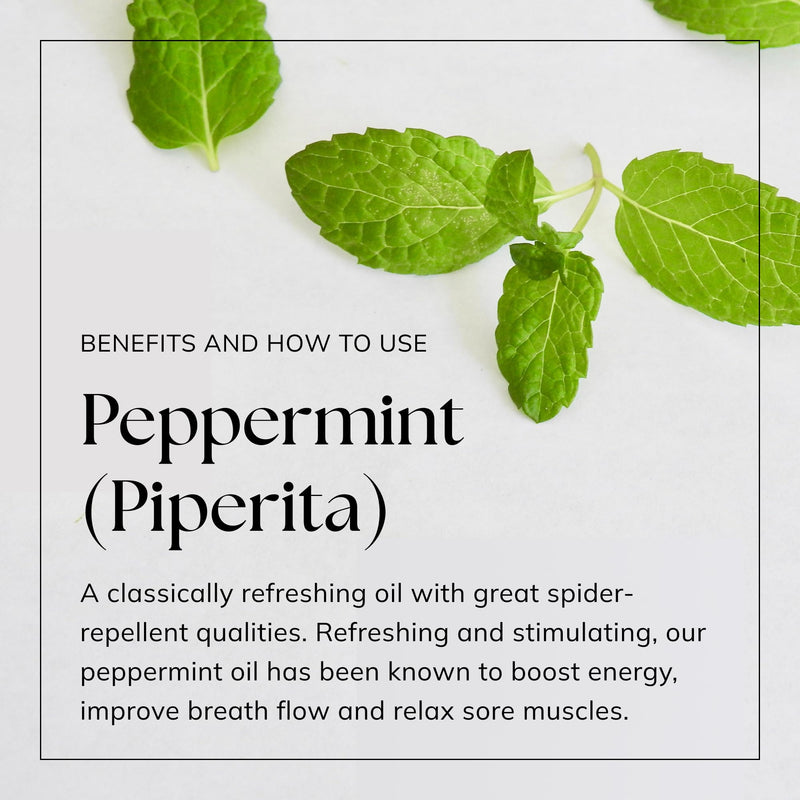 Nikura Peppermint (Piperita) Essential Oil - 30ml (3 x 10ml) | 100% Pure Natural Oils | Perfect for Hair Care, Spider Repellent, Energy Boost, Candles | Great for Skin, Headache | Vegan & UK Made Peppermint (Piperita) - BeesActive Australia