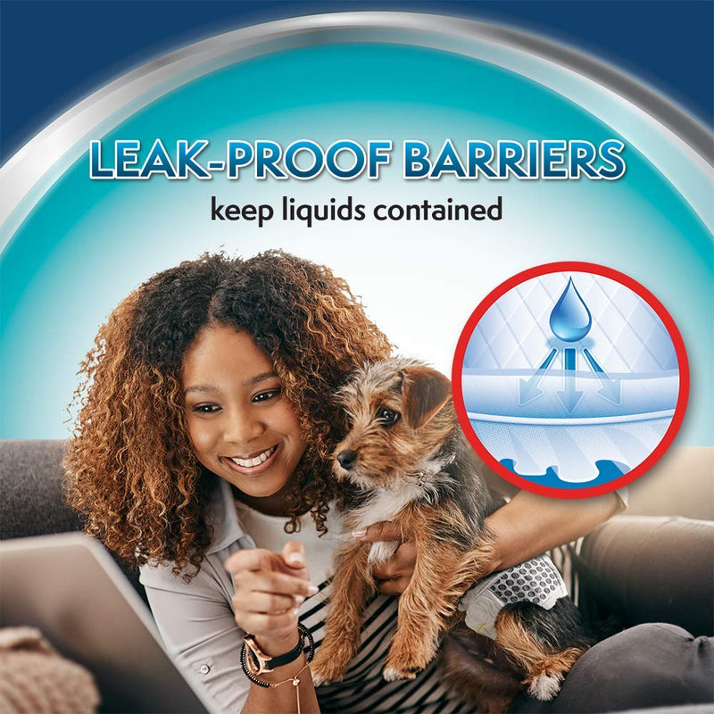 Simple Solution Disposable Dog Diapers for Male Dogs | Male Wraps with Super Absorbent Leak-Proof Fit Small 30 count - BeesActive Australia