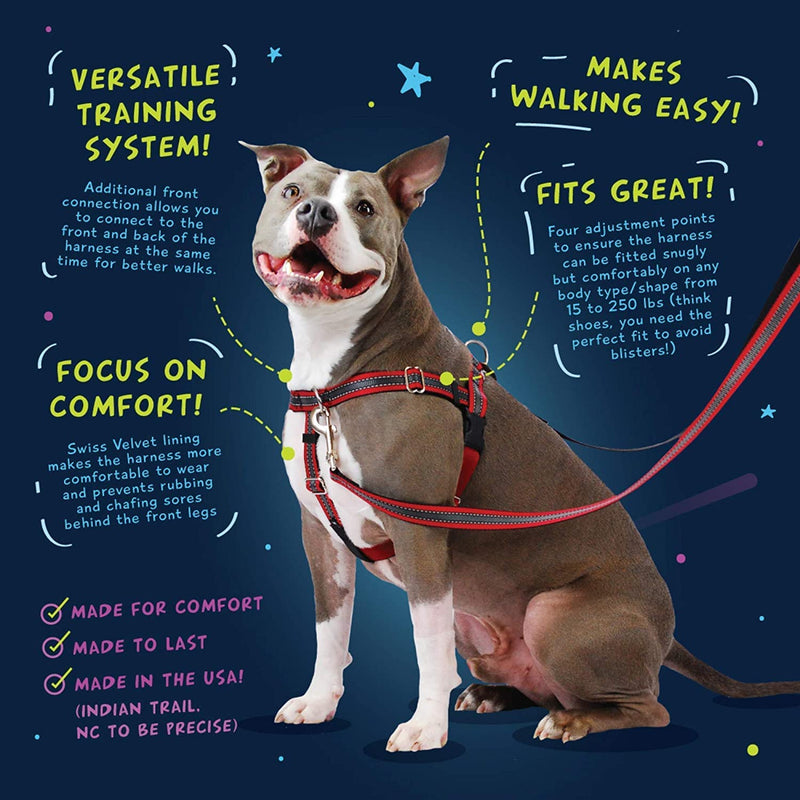 2 Hounds Design Freedom No Pull Dog Harness | Adjustable Gentle Comfortable Control for Easy Dog Walking |for Small Medium and Large Dogs | Made in USA | Leash Included 1" MD (Chest 24"- 28") Teal - BeesActive Australia