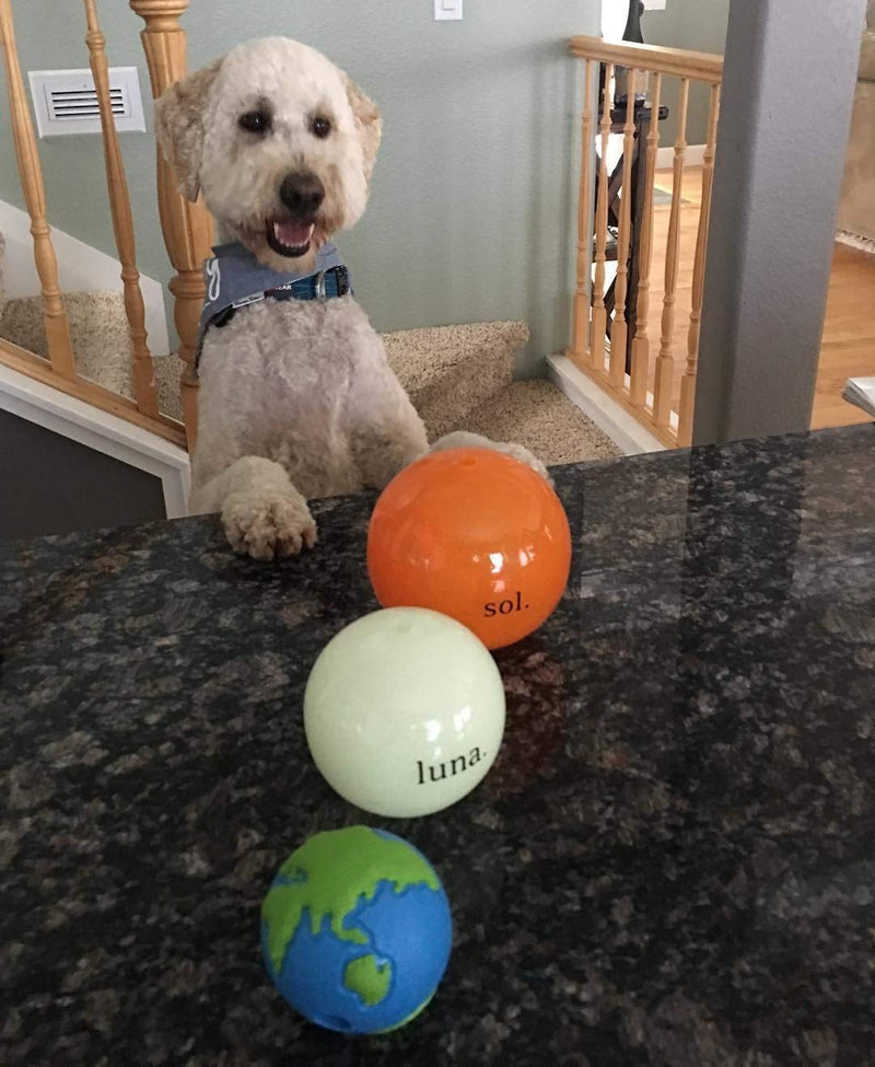 Planet Dog Orbee-Tuff Durable Chew-Fetch Ball Dog Toys Planet Ball (Treat Dispensing) Medium Planet Earth - BeesActive Australia