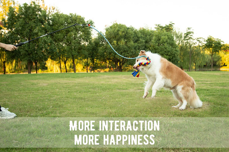 Petiepaw Interactive Flirt Pole Toy for Large/Medium/Small Dogs,Durable Tug of War Dog Toys to Outdoor Exercise & Training Toy Multi-Color - BeesActive Australia