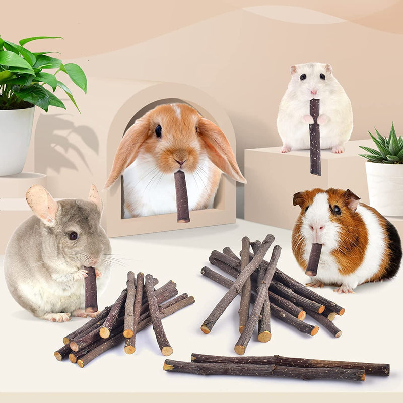 XLpeixin 200g Apple Sticks Small Animals Chew Toys,Small Animals Molar Wood Treats Toys for Rabbits Chinchillas Guinea Pig Hamster Gerbil Bunny，Uniform Thickness and Size thin200g - BeesActive Australia