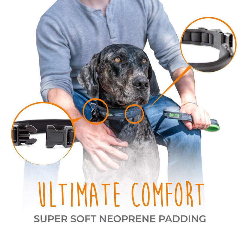 Mighty Paw Neoprene Padded Dog Collar, Reflective Running Dog Collar, Premium Quality Sports Collar, Extra Comfort for Active Dogs Black- Large - BeesActive Australia