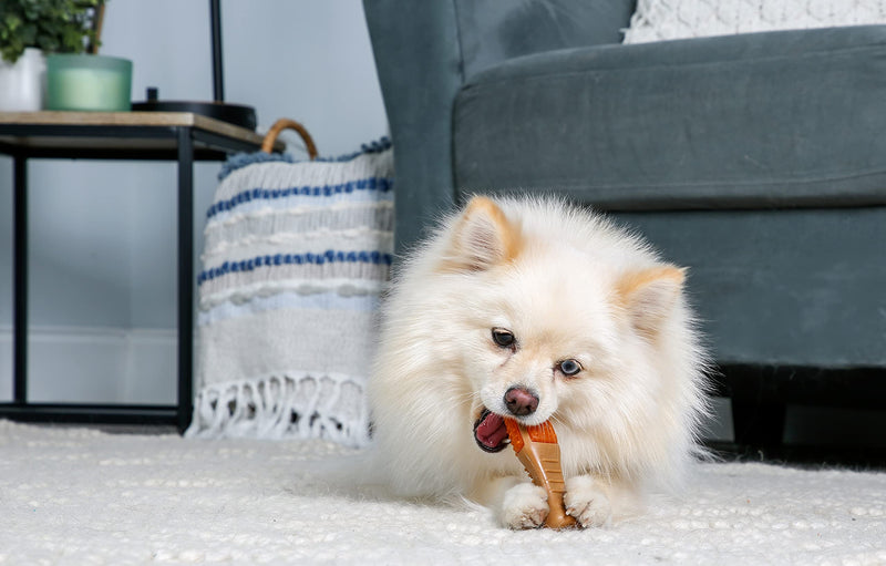 Hartz Chew 'n Clean Drumstick Dog Toy, Chicken Flavored Dog Chew Toy and Treat for Moderate Chewers Small - BeesActive Australia