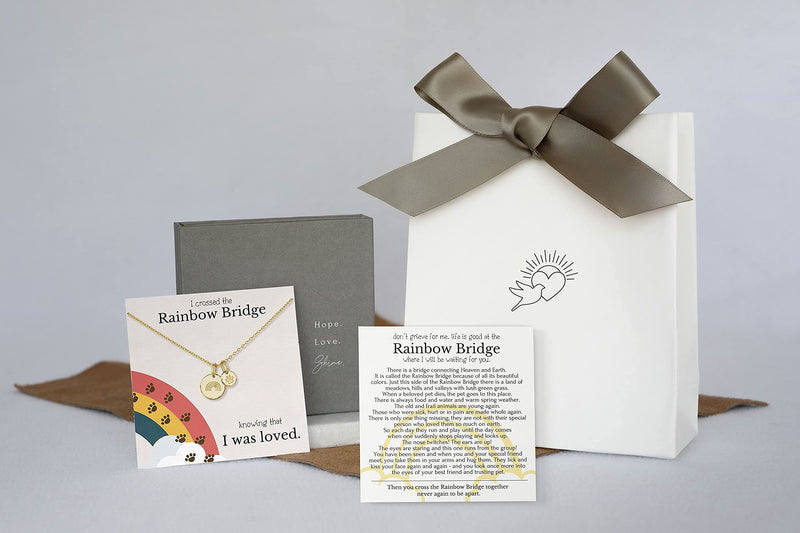 HOPE LOVE SHINE Rainbow Bridge Pet Memorial Necklace - Dog Sympathy Gifts, Loss of Pet, Cat Memorial Jewelry for Women & Men - Dog Dad & Dog Mom Necklace for Death of a Pet - Cat & Dog Memorial Gifts SILVER - BeesActive Australia