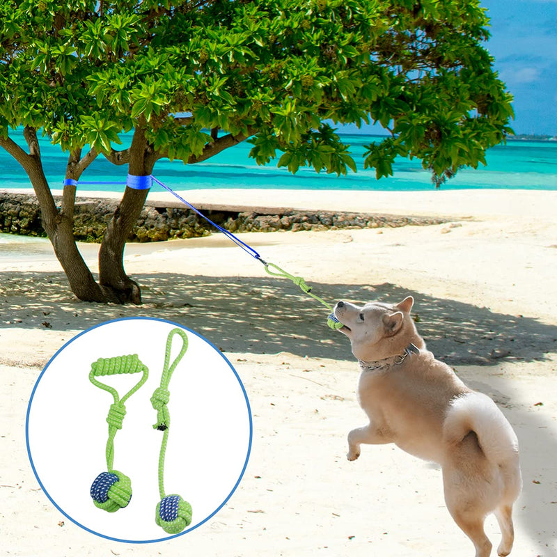 Outdoor Hanging Bungee Dog Toy - Interactive Dog Tug Toy with Dog Rope Toys for Small to Large Dogs - Best for Tug of War, Bite Training, Pull Exercise, Solo Play Green Chew Rope - BeesActive Australia