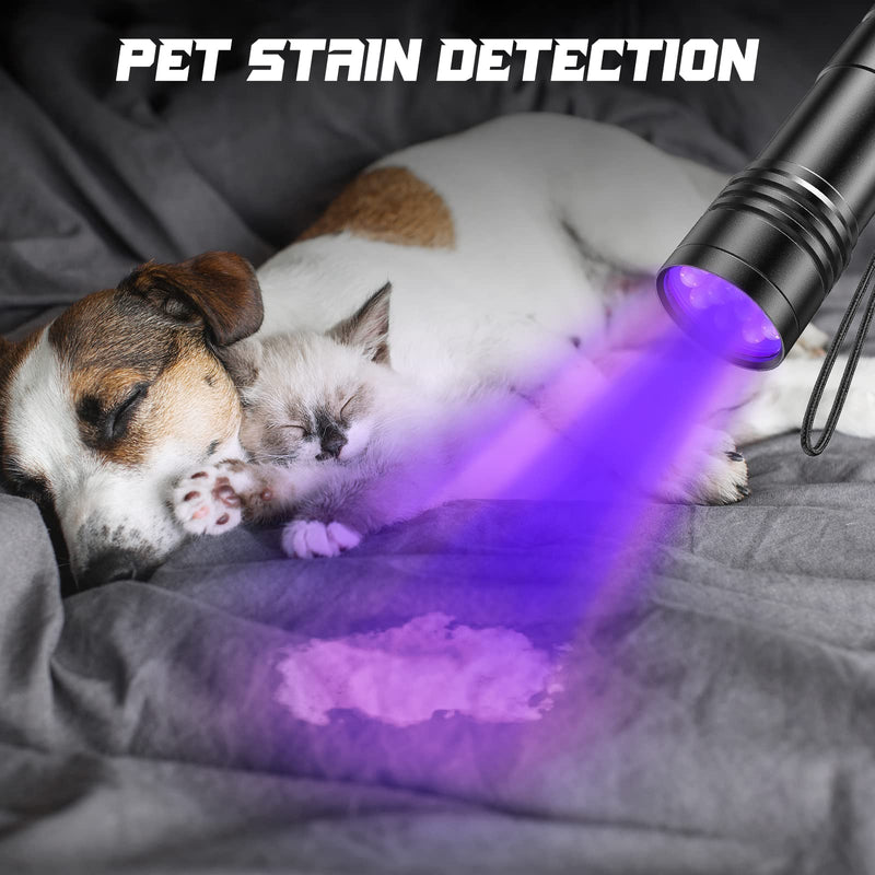 UV Flashlights, 2 Pack Black Light Flashlights with 12 LED and 395 nm Black Light for Pet Urine and House Stains Detecting, 6 AAA Batteries Included - BeesActive Australia