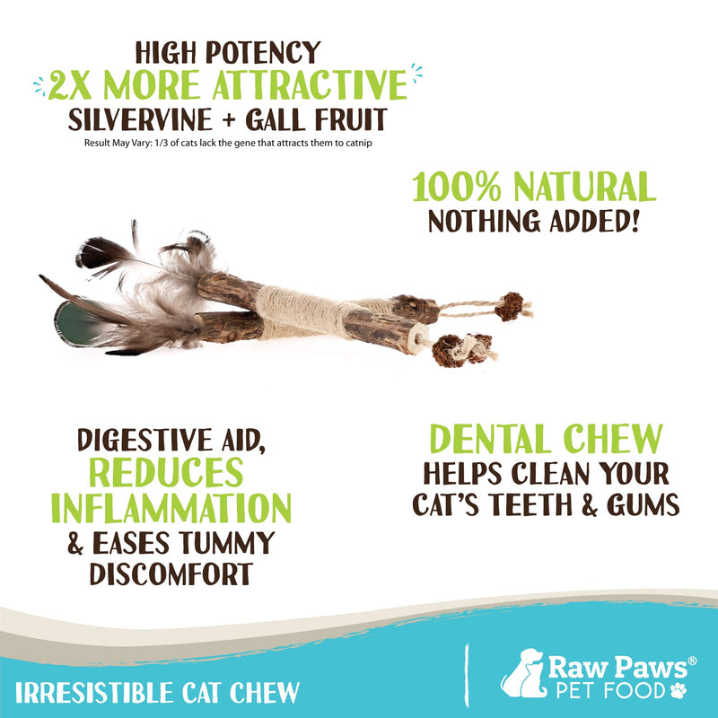 Raw Paws Silvervine Sticks Cat Feather Toys for Indoor Cats, 3 ct - Interactive Cat Toys with Feathers - Cat Kicker Toy - Catnip Toys for Cats - Cat Feather Stick, Silvervine for Cats, Matatabi Sticks - BeesActive Australia