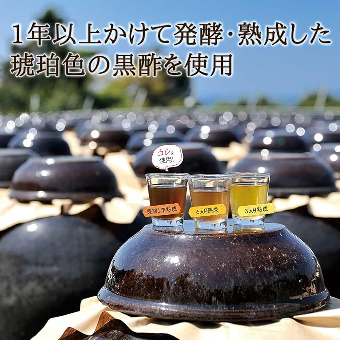 Healthy Family Plenty of Black Vinegar Ginger in 31 Tablets, Black Vinegar from Kagoshima Prefecture, Golden Ginger, Vitamin D, Heme Iron, Calcium, Amino Acids - BeesActive Australia