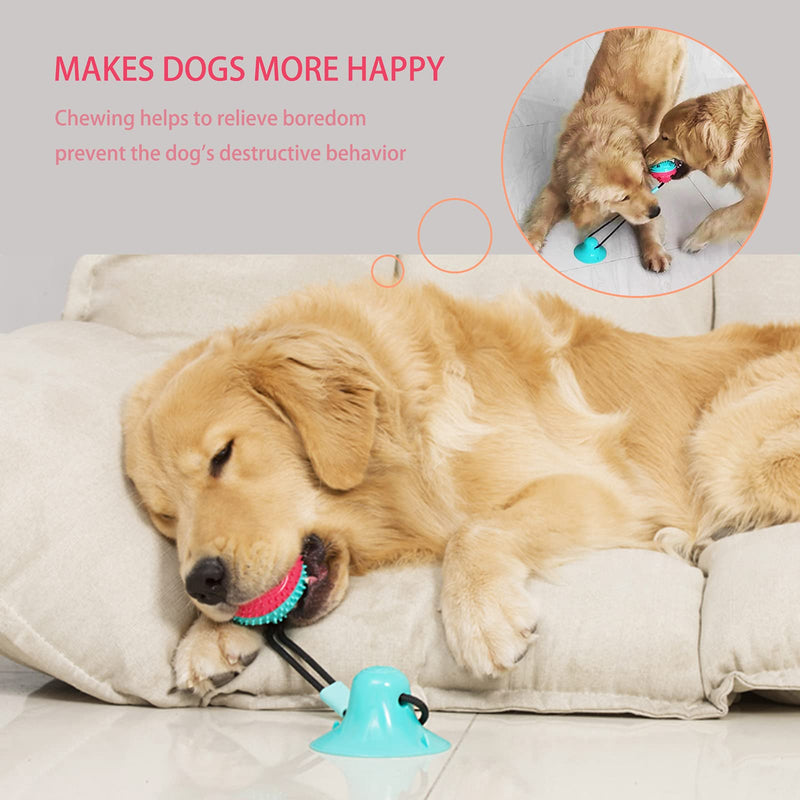 Dog Toys, Dog Chew Toys for Aggressive chewers,Dog Rope Toys with Suction Cup for Puppy Dogs,Dog Training Treats Teething Toys for Boredom, Small Dog Puzzle Toy Treat Food Dispensing Ball Toys Blue - BeesActive Australia