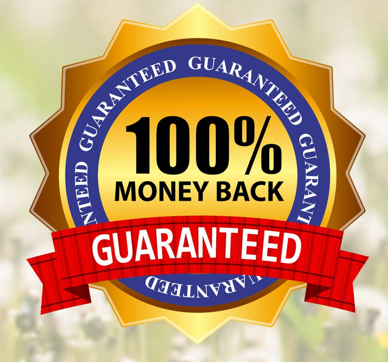 #1 Rated and Best Digestive Enzymes for Dogs! SkinPlex Plus is Guaranteed to help end Dog Skin Allergies, Dog Skin Problems, Itchy Dogs! Top Rated Dog Dry Skin Remedy! Safe All Natural Made in USA! - BeesActive Australia