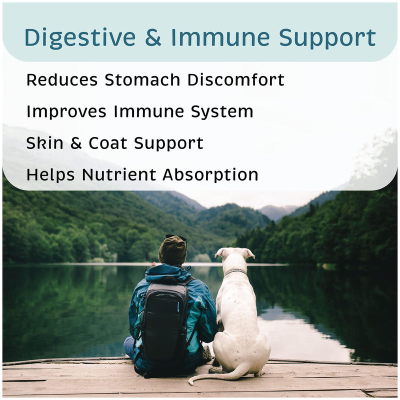 VetOne Advita Probiotic Nutritional Supplement for Dogs 1 Box, 30 Packets - BeesActive Australia
