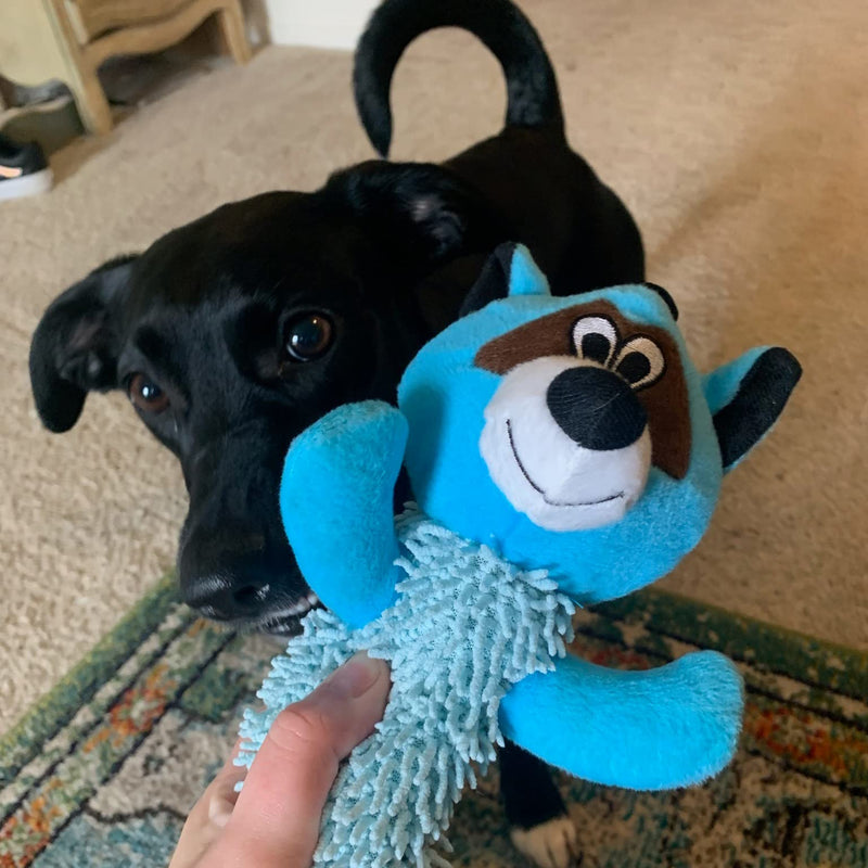 Snuggle Puppy Tender-Tuffs Fetch - Big Tough Plush Dog Toy - Play Fetch or Tug-of-War - Shaggy Blue Raccoon with Puncture Resistant Squeaker - BeesActive Australia