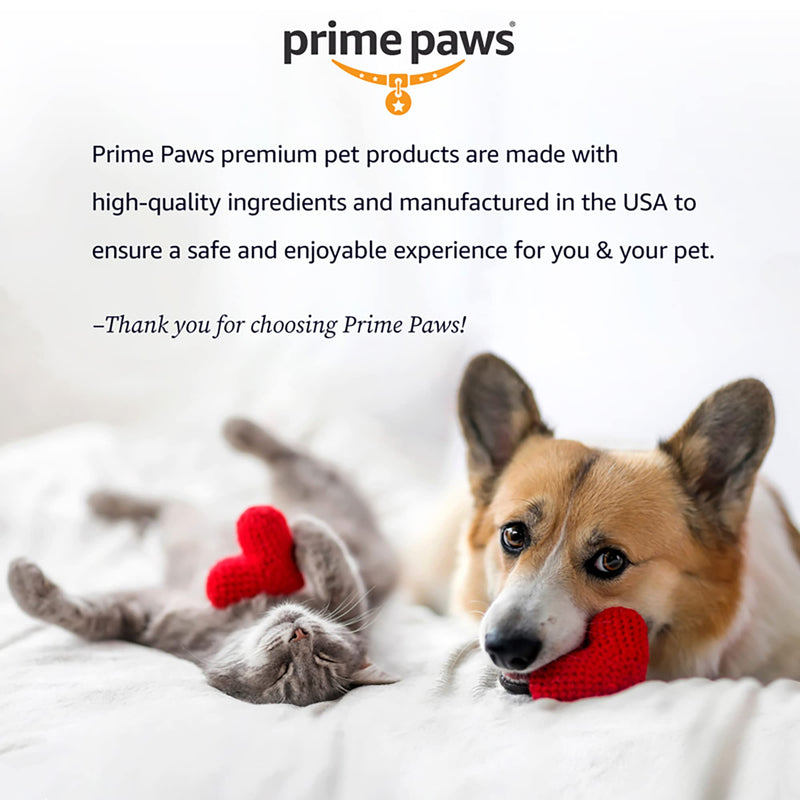 Prime Paws Cat & Dog Ear Cleaning Solution - Otic Ear Solution for Dogs - Liquid Flush for Soothing Itchy Ears & Effective Otic Care - Cucumber Melon Scent - 8 oz - BeesActive Australia