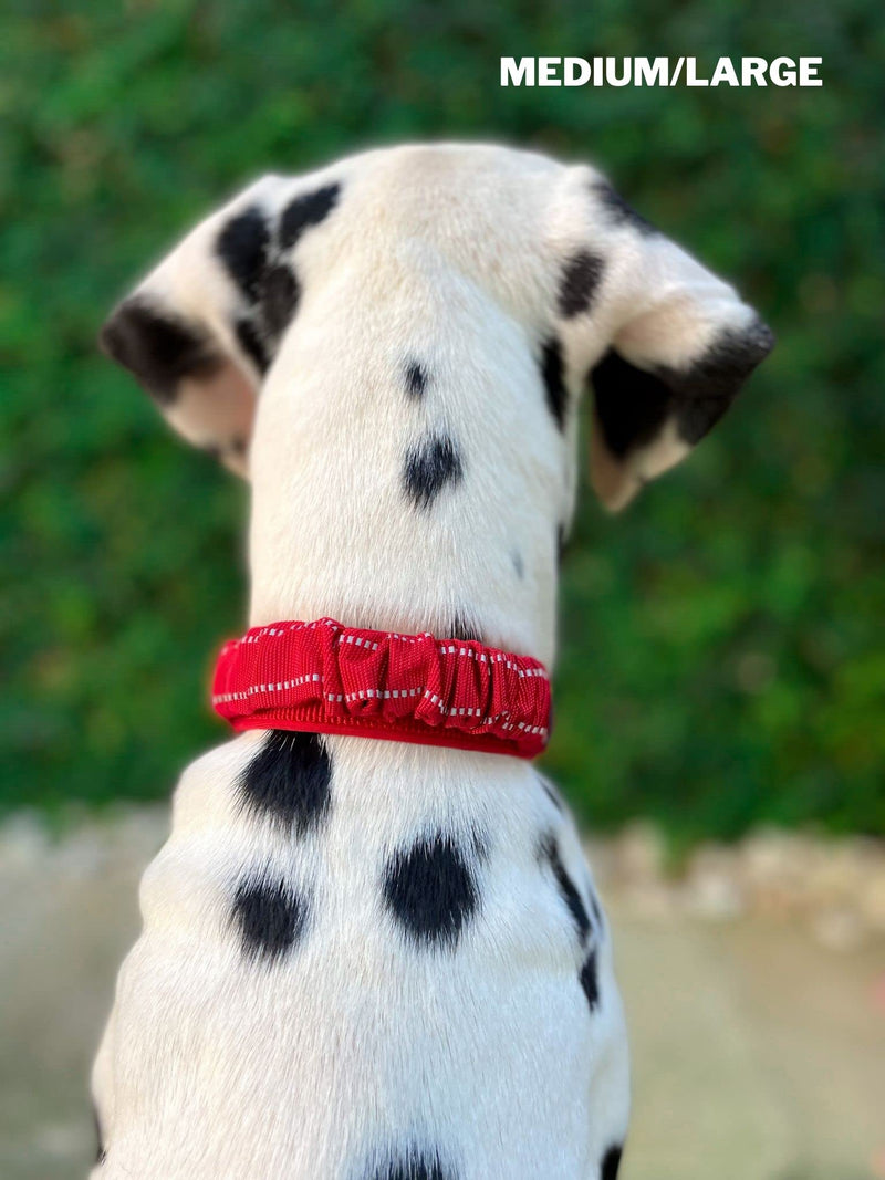 Tuff Pupper Heavy Duty Dog Collar with Handle | Ballistic Nylon Heavy Duty Collar | Padded Reflective Dog Collar with Adjustable Stainless Steel Hardware | Convenient Sizing for All Breeds Medium/Large (14 - 18" Neck) March Red - BeesActive Australia