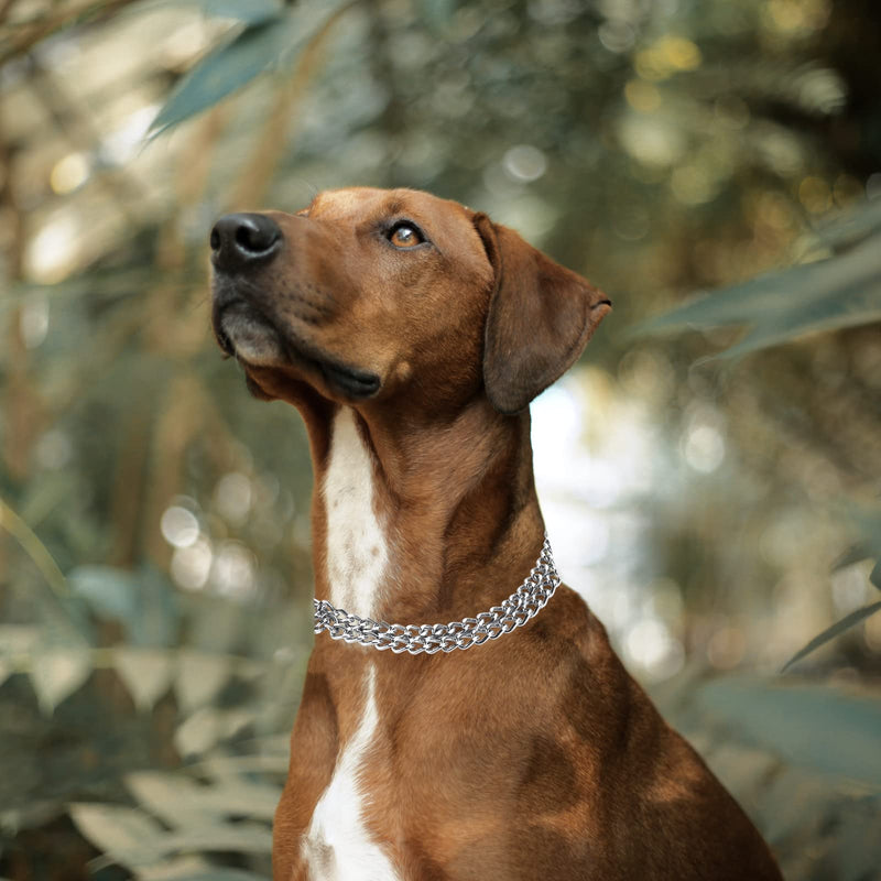 JIPIMON Dog Collar Adjustable Dog Training Collar for Small Medium Large Dogs - BeesActive Australia
