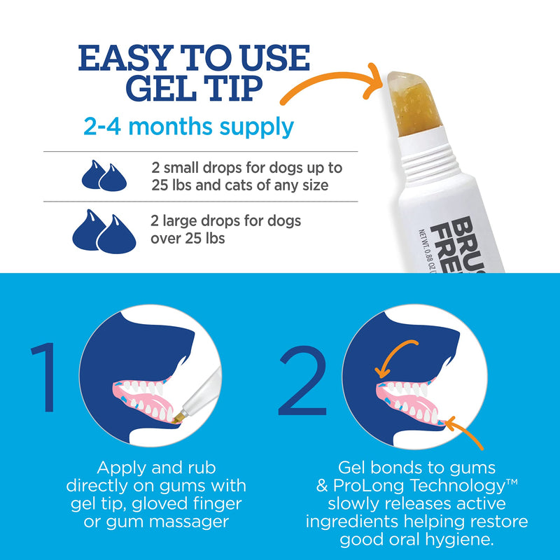 Vetality Brush Free Oral Gel for Dogs | Vet Formulated Dental Care with ProLong Technology | Cleans Teeth and Gums - BeesActive Australia