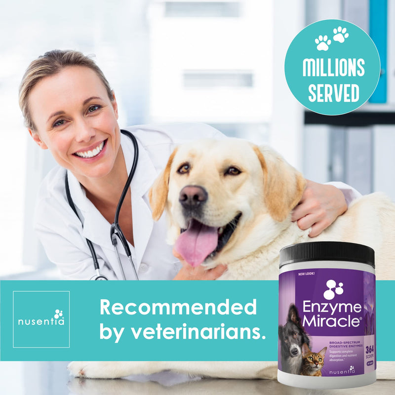 Enzymes for Dogs & Cats - Enzyme Miracle - Systemic & Digestive Enzyme Formula - Powder - 364 Servings - Vegetarian - BeesActive Australia