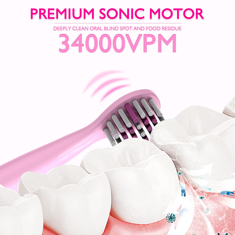 Rechargeable Toothbrush for Children, Sonic Toothbrush for Kids, Smart Electric Toothbrush for Boys Girls Age 3-12, 30s Reminder, 2 Mins Timer, 6 Modes, 8 Brush Heads, Cartoon Design, USB Charging 8650 Pink+ 8 Brush Heads - BeesActive Australia