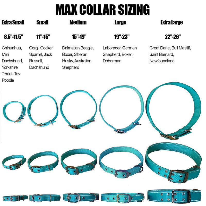 Max and Neo MAX Reflective Metal Buckle Dog Collar - We Donate a Collar to a Dog Rescue for Every Collar Sold Small TEAL - BeesActive Australia