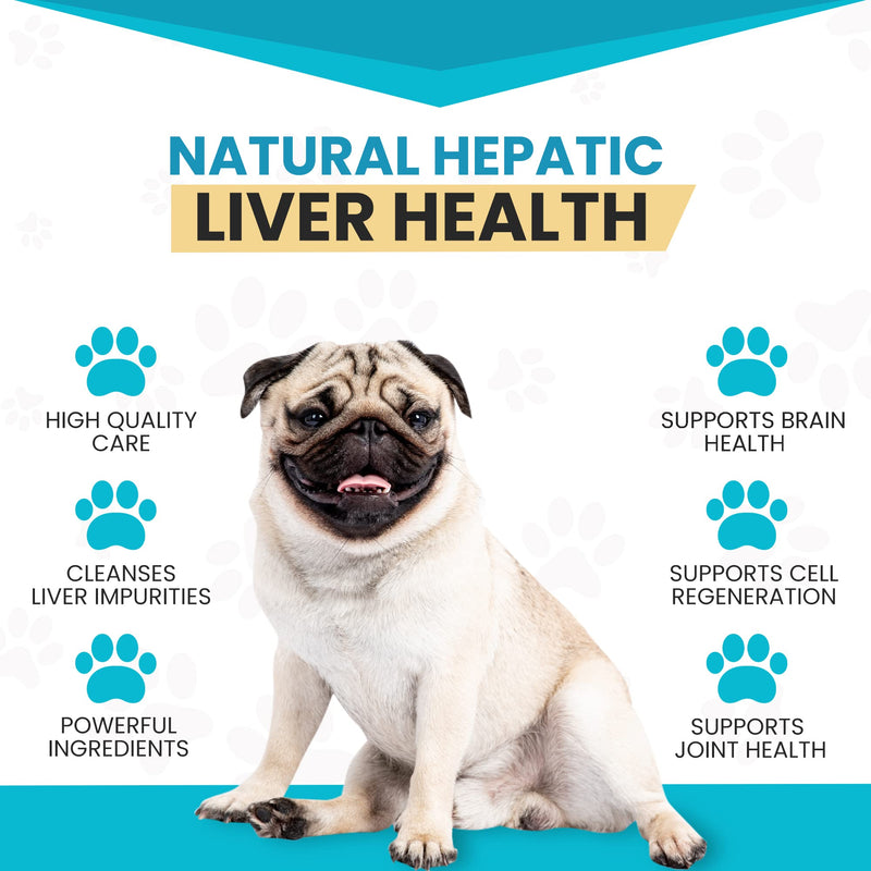 SAMeLQ 100, Liver Support for Dogs, SAM e Chewable Hepatic Support for Dogs, Promotes Cell Membrane Strength 60 counts - BeesActive Australia