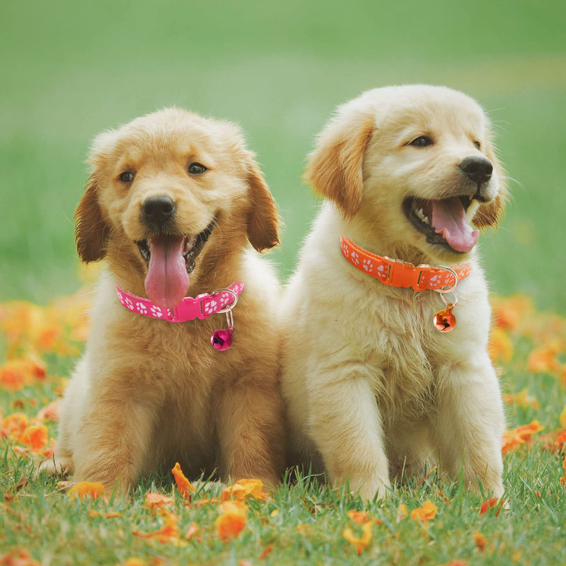 Puppy Collars with Bell-Adjustable Litter Collars Pups - Kitten Collar for Newborn pet Non-Breakaway A - BeesActive Australia