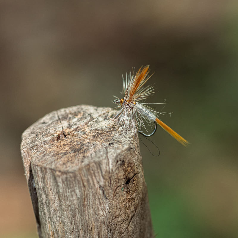 Fly Fishing Adams Dry Flies Assortment,4PCS - Nymph Bait Lure kit with 14#Hooks for Trout Bass - BeesActive Australia