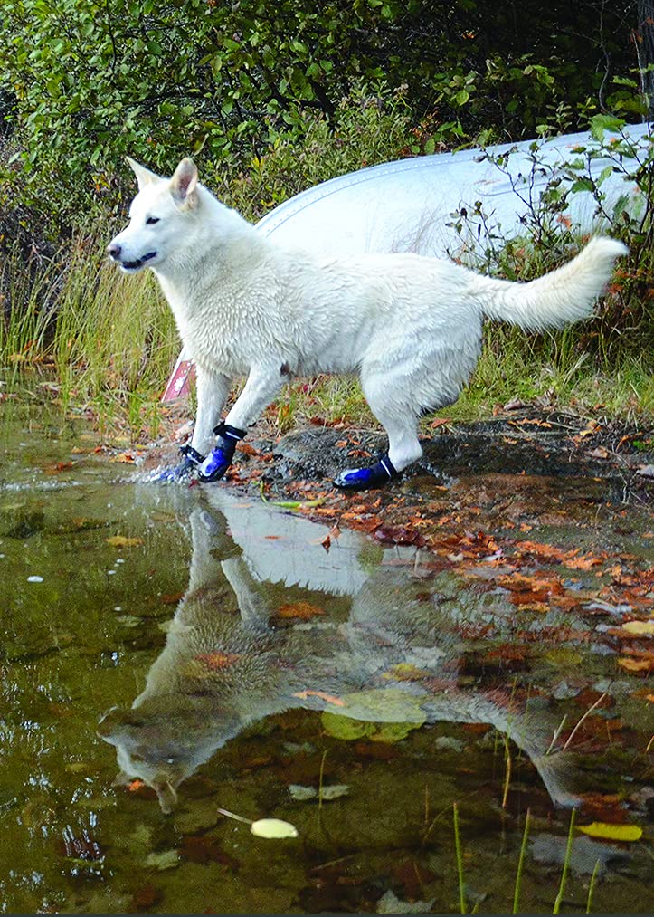 Muttluks Mud Monsters Summer Dog Boots – Rugged Barefoot Technology – Protects Paws – Flexible Rubber Soles, Traction Treads – Pet Booties – XXS-XL – 2 Pack Blue XX-Small/X-Small - BeesActive Australia