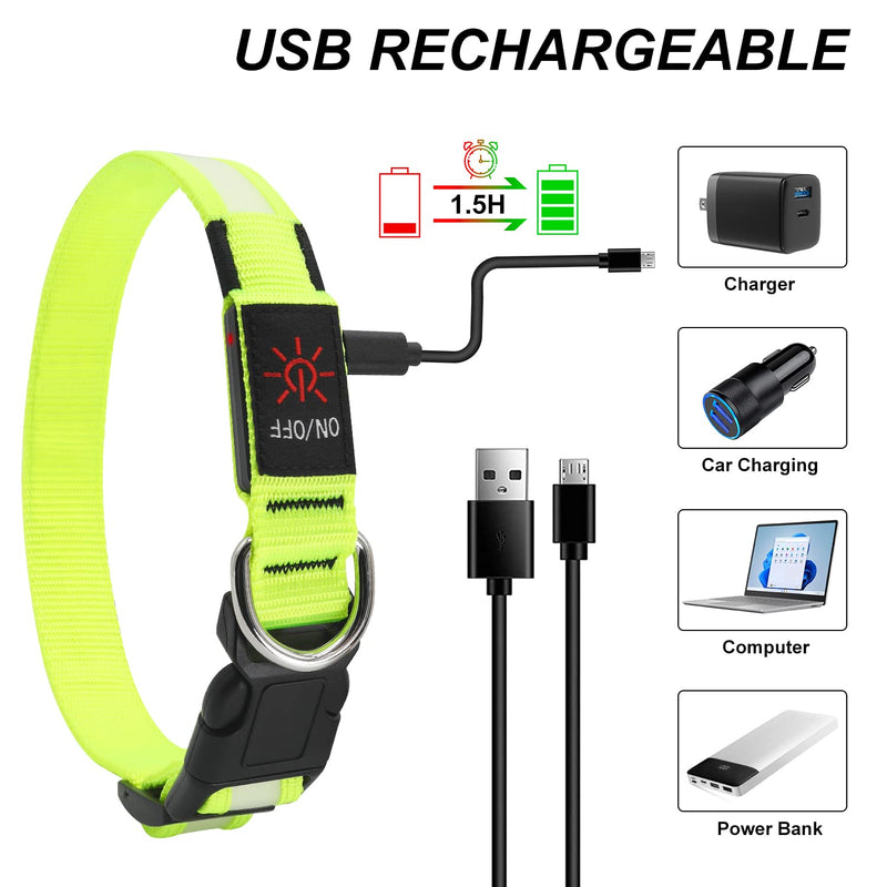 Light Up Dog Collars DQGHQME Led Dog Collar USB Rechargeable Safety Lighted Dog Collar for Small Medium Large Dogs，Flashing Lights for Dog Walking at Night Glow in The Dark Camping Dog Collars. Green-Pure - BeesActive Australia