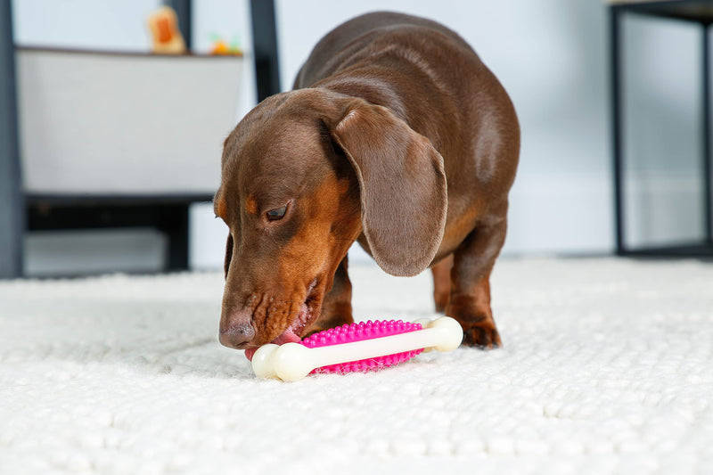 Hartz Chew 'n Clean Tuff Bone Bacon Scented Dental Dog Chew Toy - Medium - BeesActive Australia