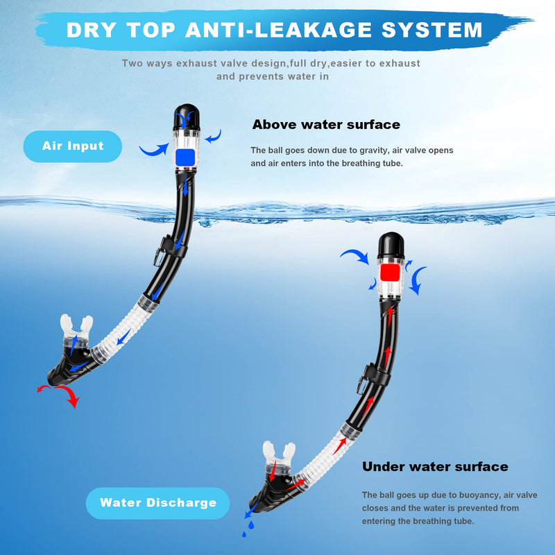 Snorkel Set, Zipoute Snorkel Dry Top Snorkeling Gear for Adults, Panoramic Anti-Leak and Anti-Fog Tempered Glass Lens, Adults Adjustable Snorkeling Set, Scuba Diving Swimming Training Snorkel Kit Black - BeesActive Australia