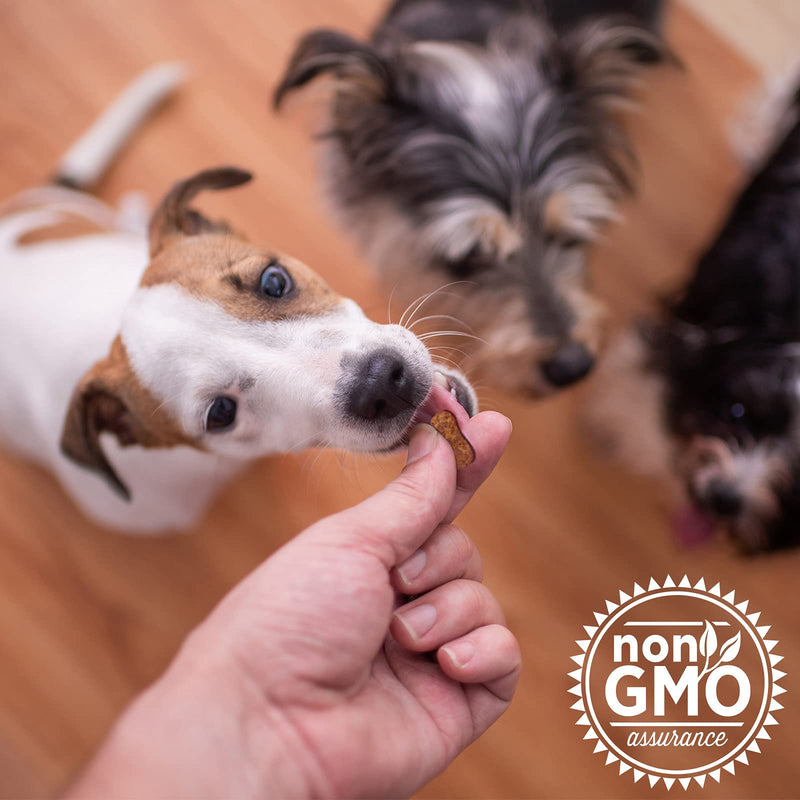 The Missing Link Collagen Care Soft Chew Nutritional Treats for Dogs - Collagen, Glucosamine, Chondroitin & Turmeric - Mobility & Anti-Inflammatory Support - Hip & Joint 60 Count - BeesActive Australia