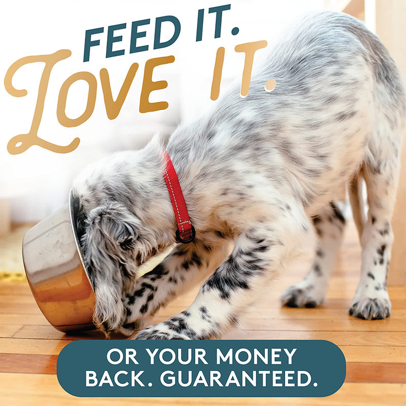 The Missing Link Pet Kelp Formula Skin & Coat 8 oz Dog - BeesActive Australia