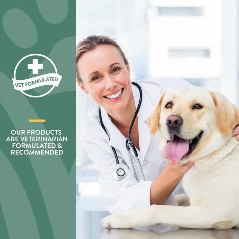 NaturVet Glucosamine for Dogs – Dog Supplement with Glucosamine, MSM, Chondroitin & Hyaluronic Acid – Soft Chews & Chewable Tablets ArthriSoothe-Gold Level 3 180 Soft Chews - BeesActive Australia