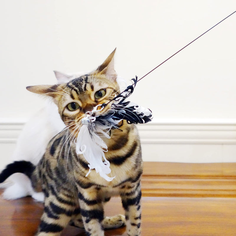 TTCAT Cat Wand Toys,Flexible Steel Wire and Cat Feather Toys Cat Teaser Toy Refills, Interactive Cat Toy Wand Kitten Toys for Indoor Cats to Play Chase Exercise Classic Feather Toys（4 refills） - BeesActive Australia