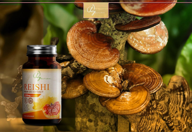 HN Reishi Mushroom Capsules | 120 High Strength Vegan Reishi Mushroom Capsules - 2100mg (15:1 Extract) Mushroom per Serving | Nootropics Mushroom Complex | Non-GMO & Allergen Free | Made in the UK - BeesActive Australia