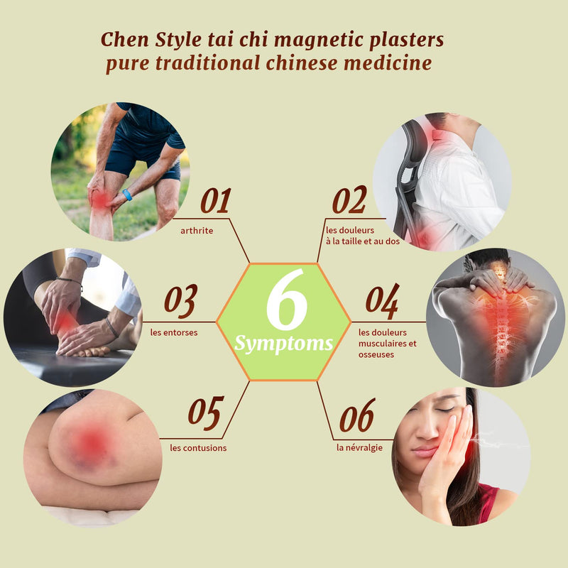 MQ 40 Patch/5 Box Pain Relief Patch Chinese Medical Herbal Plaster for Rheumatism Joint Back Pain - BeesActive Australia