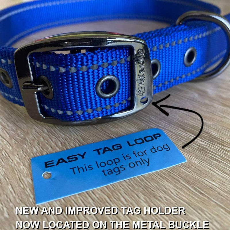 Max and Neo MAX Reflective Metal Buckle Dog Collar - We Donate a Collar to a Dog Rescue for Every Collar Sold Small TEAL - BeesActive Australia