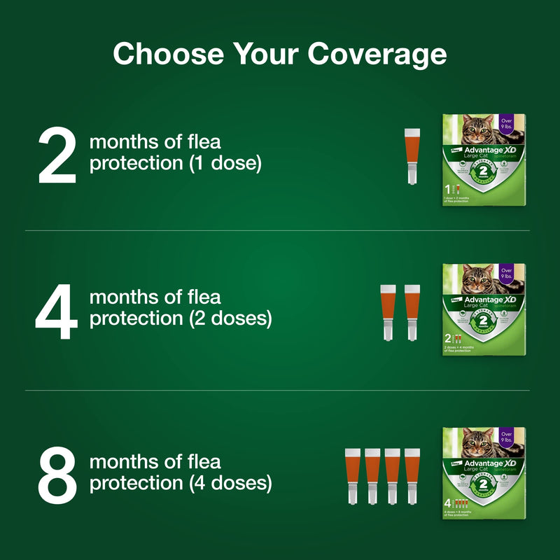 Advantage XD Long-Lasting Flea Prevention & Treatment for Large Cats (Over 9 lbs) 1 Pack - BeesActive Australia