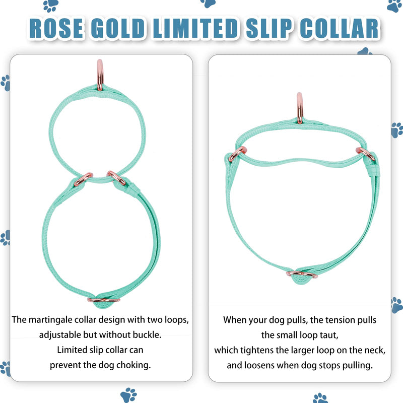 Soft Leather Martingale Dog Collar - Adjustable Rose Gold Limited Slip Collars [Easy to Clean], Stylish Durable Heavy Duty Nylon No Pull Training Collar for Small Medium Large Dogs XS (Neck 8"-11", Width 3/5") Mint Green - BeesActive Australia