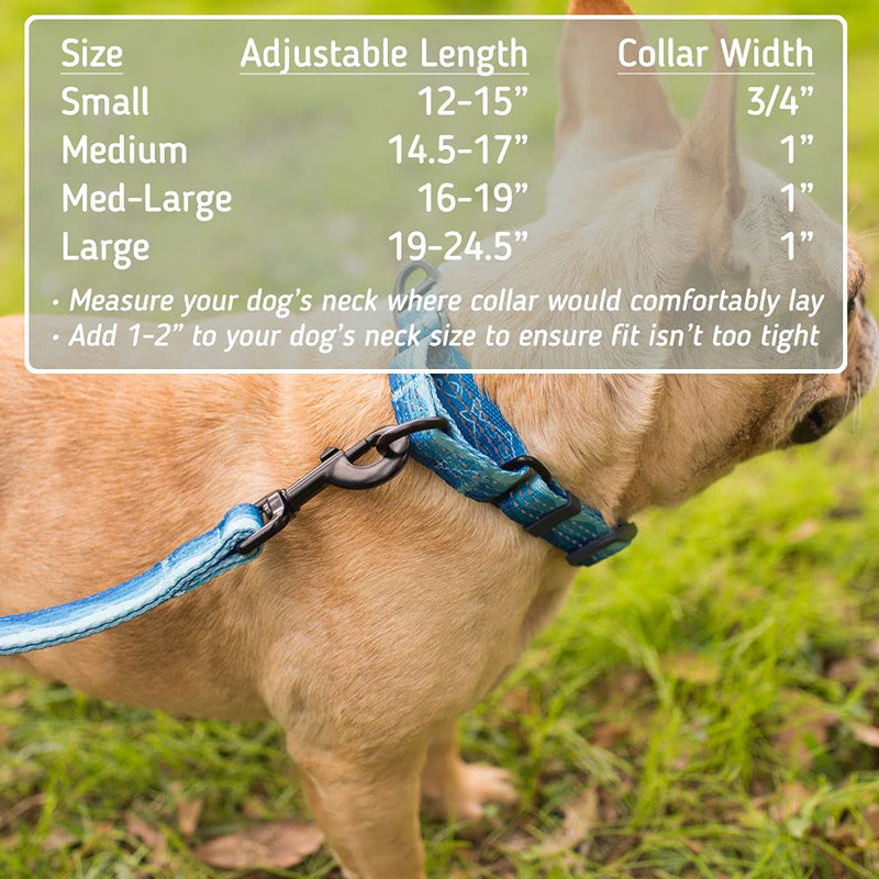 Leashboss Pattern Martingale Dog Collar, Reflective No-Pull Training Collar, Pattern Collection Medium-Large (16-19" Neck x 1" Wide) Orange - Blanket - BeesActive Australia