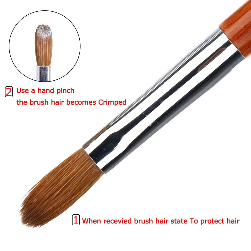 A&K LYDIA Acrylic Nail Brush for acrylic application Manicure crystal Powder Pedicure-2pcs Konlisky Sable hair Acrylic Nails Oval Nail Art Liner Brush With Stitching color Wooden handle Size #8 - BeesActive Australia